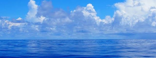 進さんの壁紙画像