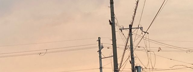 かるぴすさんの壁紙画像