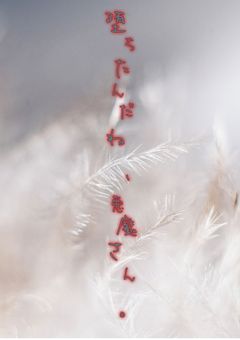 堕ちたんだね 、 悪魔さん 。