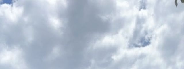 りるさんの壁紙画像
