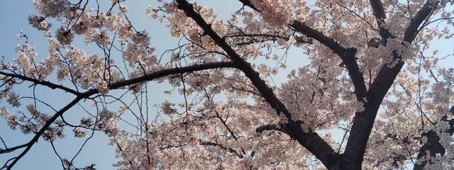 さんの壁紙画像