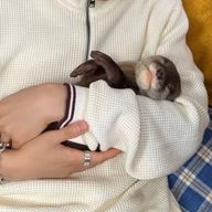 まおさんのアイコン画像