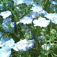 あかりさんのアイコン画像