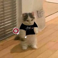 たすてぃさんのアイコン画像