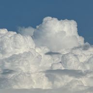 くるむさんのアイコン画像