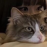 ぴゅ🫯さんのアイコン画像