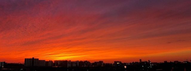 Summerさんの壁紙画像