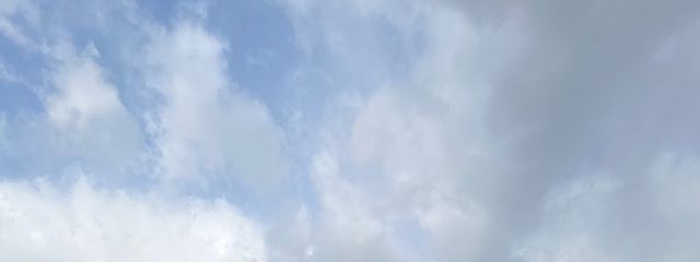美月✩.*˚さんの壁紙画像