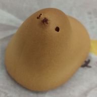 Sakanaさんのアイコン画像