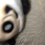 ぱおたんさんのアイコン画像