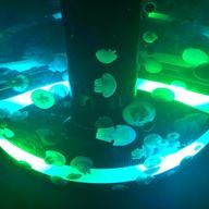 犀川(低浮上m(_ _)m)さんのアイコン画像