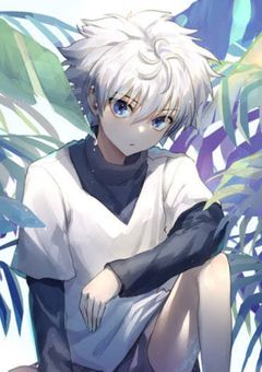 キルアの双子の弟はストーンワールドに転生する