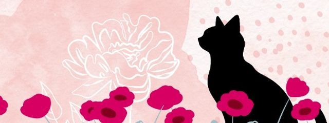 ののーかさんの壁紙画像