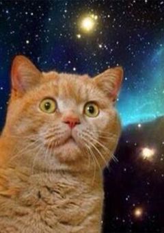 命懸けなのにツッコミが追いつかないんですけど！？【参加型】