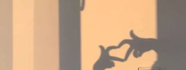 あんこさんの壁紙画像