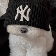 あんこさんのアイコン画像