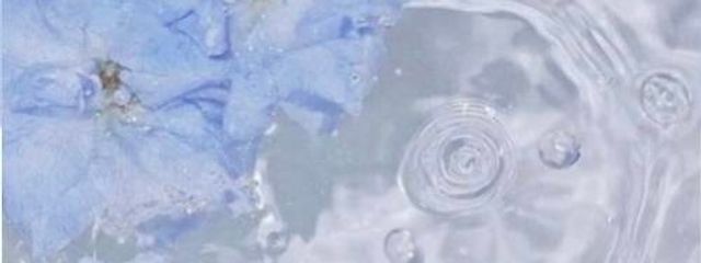 mikuru🤤♫さんの壁紙画像