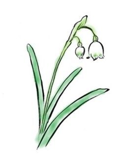 【公式事務所】LUMINOUS PROTAGONISTA