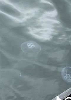 ❤︎  新人巻戻士、何故か好かれました。