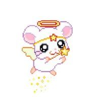 クァクさんのアイコン画像