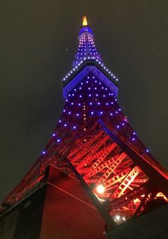 うちの可愛い可愛いわんちゃんたち！！