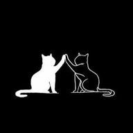 謎猫🐈‍⬛さんのアイコン画像