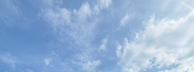 彝摛さんの壁紙画像