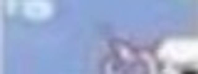イヌイット武田マン:転生したら武本から武田になってた件さんの壁紙画像