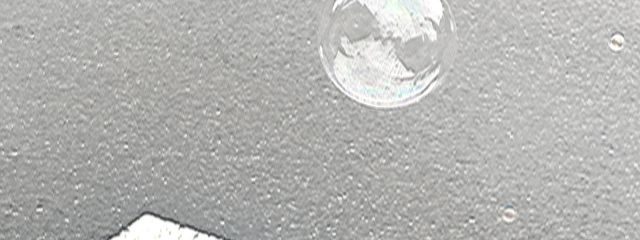 鴪さんの壁紙画像