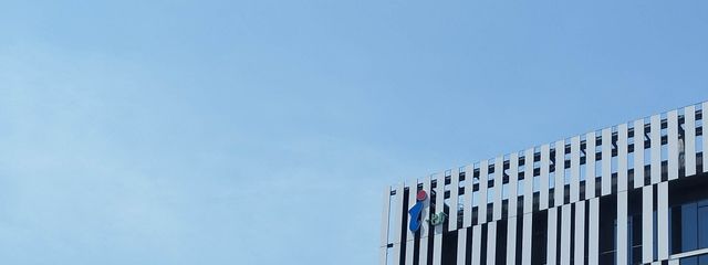 スミレさんの壁紙画像