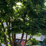 レイさんのアイコン画像