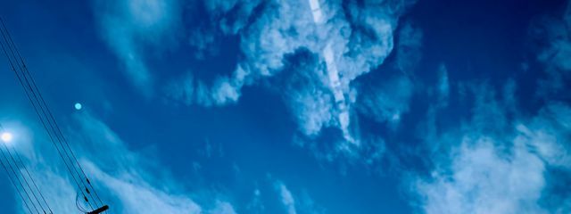 キャメルさんの壁紙画像