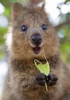 主の落書き部屋