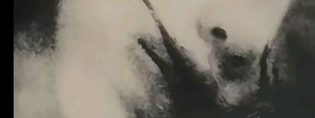 ビョリさんの壁紙画像