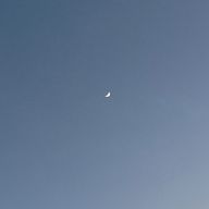 miamiaさんのアイコン画像