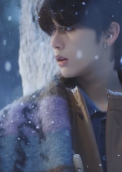 シスコンの弟はアイドル