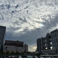 リサさんのアイコン画像