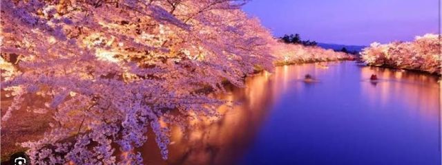 桜🌸☁️🌙さんの壁紙画像