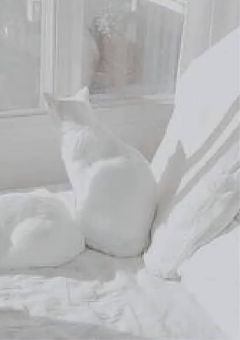 #推し活 記念 日記 ꕀ♡