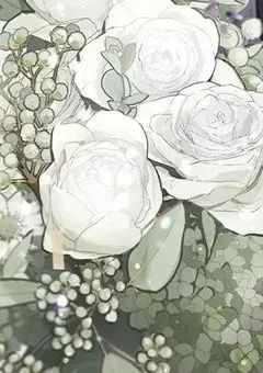 風花様のファンクラブ