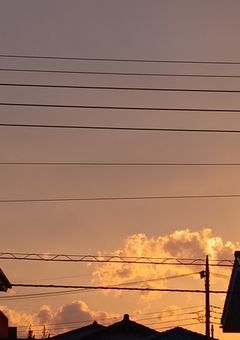 拡散希望