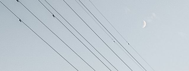 えふえふさん大好きな華野 音羽@こころ大好きさんの壁紙画像