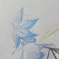Temさんのアイコン画像
