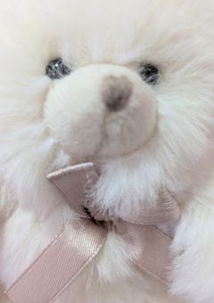 ðæ¿ãããã¬ããæ¿å.áâª.áâª