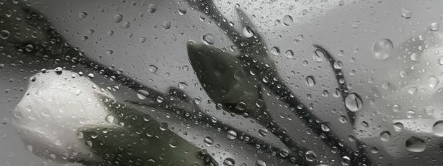 nanashi.さんの壁紙画像