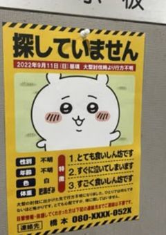 取扱説明書&報告