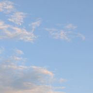 あみちゃさんのアイコン画像