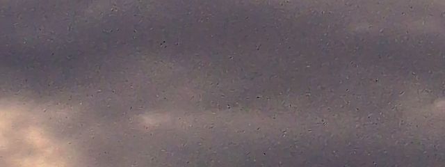 irо-.HT_@ぎふはぴ所属🫠@現在投稿🐢さんの壁紙画像