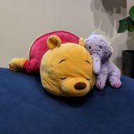 irо-.HT_#ぎふはぴ所属🫠#現在投稿🐢さんのアイコン画像