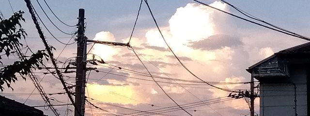 にﾝげンジﾝュさんの壁紙画像